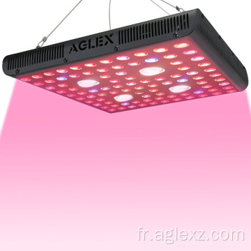 AGLEX 2000W LED élèvent la lumière pour les herbes d&#39;intérieur
